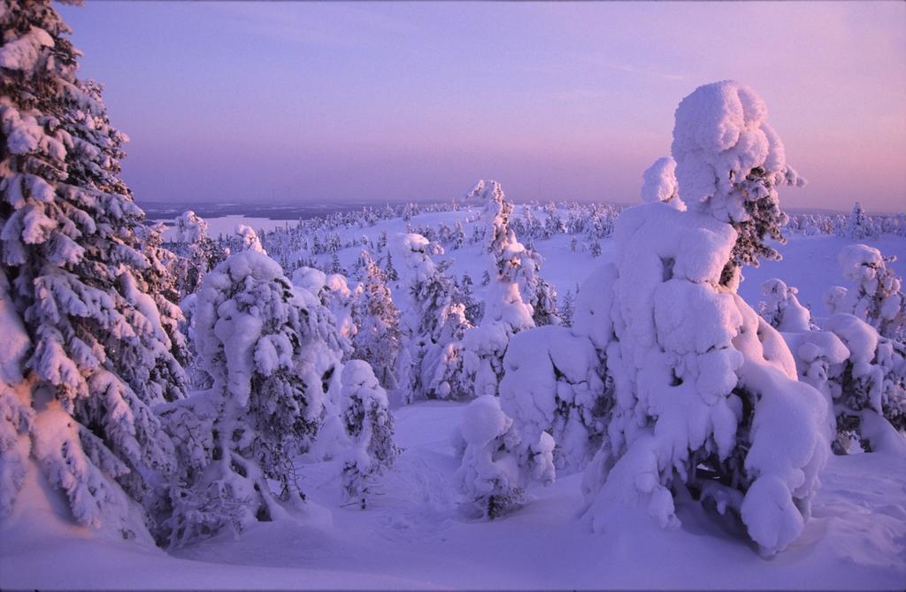 Hotel Royal Ruka Eksteriør bilde