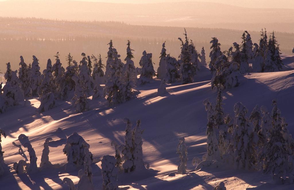 Hotel Royal Ruka Eksteriør bilde